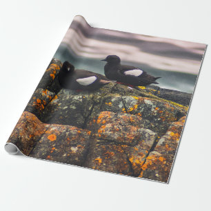 PAPEL DE PRESENTE DUAS AVES PRETAS