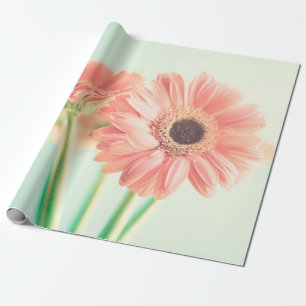 Papel De Presente Duas flores de palepink