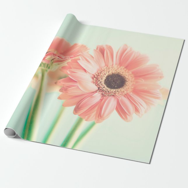 Papel De Presente Duas flores de palepink (Desenrolado)