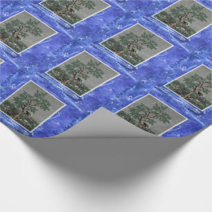 Papel De Presente E Um Porcupine Numa Árvore De Pinheiros