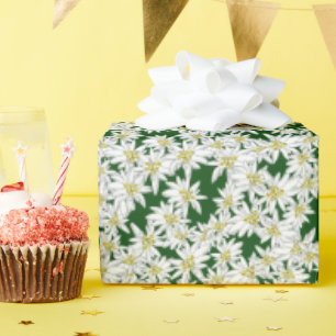 Papel De Presente Edelweiss Som Desenho Mão do Music Alpino Floral