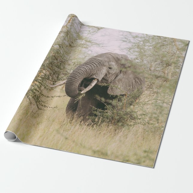 PAPEL DE PRESENTE ELEFANTE COMENDO DE UMA ÁRVORE (Desenrolado)