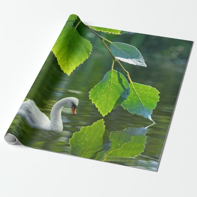 Papel De Presente Elegante Summer Swan (Desenrolado)