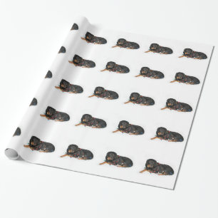 Papel De Presente Emaranhado do Natal de Rottweiler