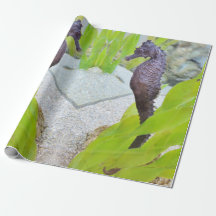 Embalagem de presente de cavalo