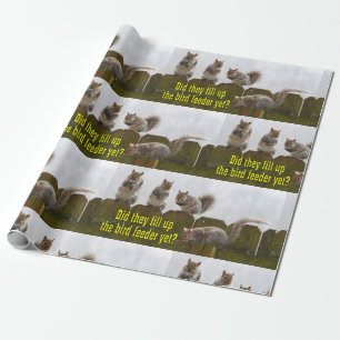 Papel De Presente Encheram acima o alimentador do pássaro ainda?