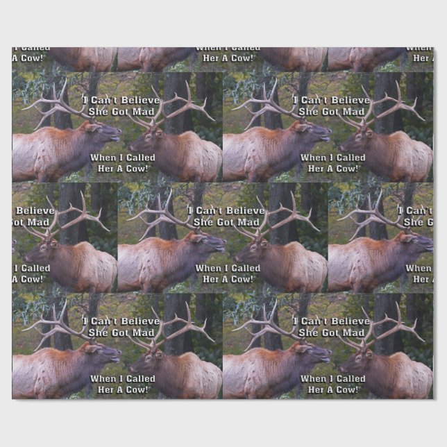 Papel De Presente Engraçado eu não posso acreditar que obteve a (Aberto)