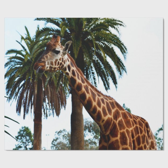 Papel De Presente Engraçado Girafa Dando Um Framboesa, (Aberto)