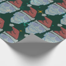 engraçado, Joe biden, um chapéu de Natal feio