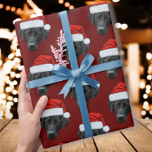 Engraçado personagem Foto de Cachorro Papai Noel N