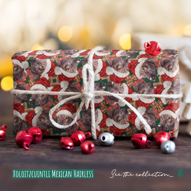 Papel De Presente Engraçado Xoloitzcuintli Mexicano Natal sem Cabelo (Criador carregado)