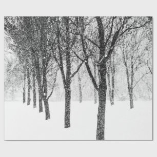 Papel De Presente enquanto eu lado com árvores