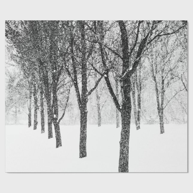 Papel De Presente enquanto eu lado com árvores (Aberto)