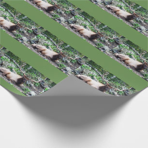 Papel De Presente Envoltório dos alces
