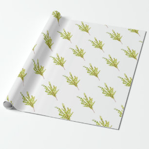 Papel De Presente Ervas de tomilho Água botânica de ervas aquarela c