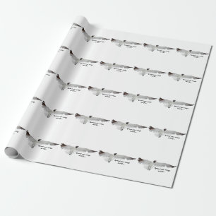 Papel De Presente Espalhar Aquelas Asas