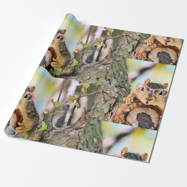 Papel De Presente Esquilo (Desenrolado)