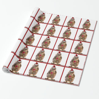 Papel De Presente Esquilo do Natal com bastão de doces