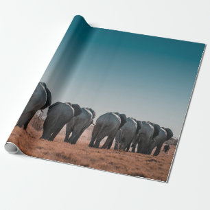 PAPEL DE PRESENTE ETOSHA NATIONAL PARK