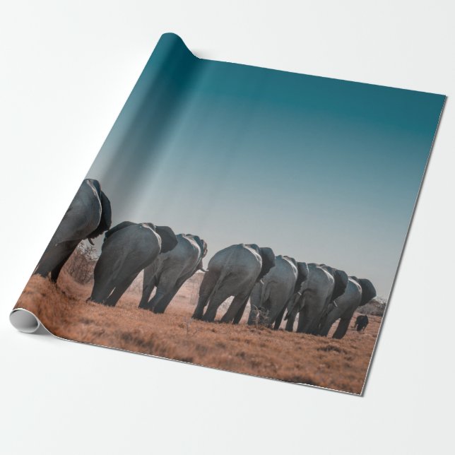 PAPEL DE PRESENTE ETOSHA NATIONAL PARK (Desenrolado)