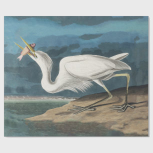 Papel De Presente Excelente White Heron Audubon Bird Willife Paintin