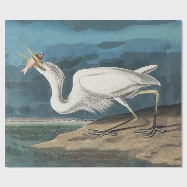 Papel De Presente Excelente White Heron Audubon Bird Willife Paintin (Aberto)