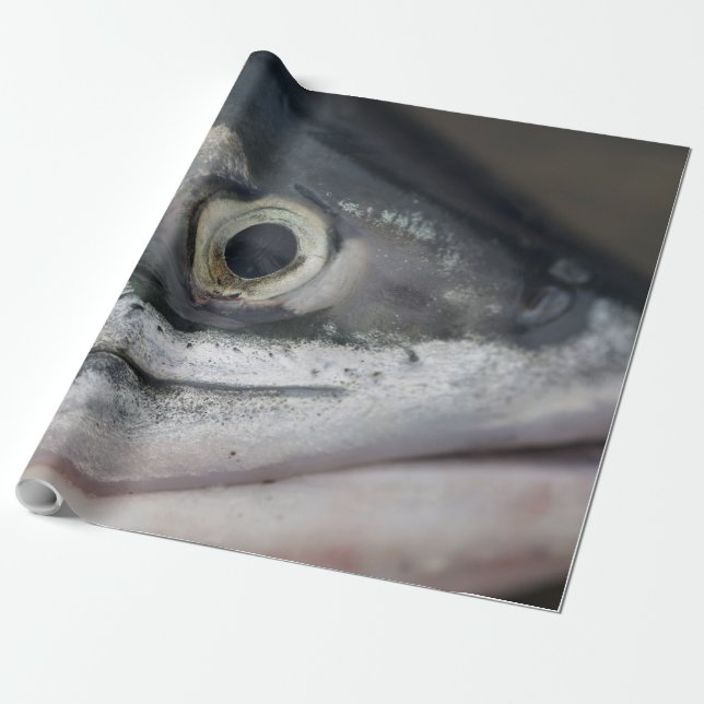 Papel De Presente Face de Salmão de Prata (Desenrolado)