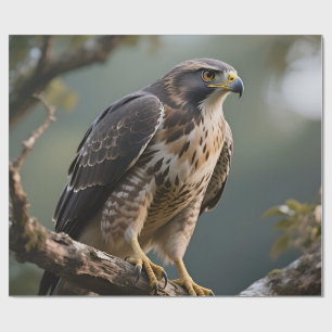 Papel De Presente Falcão Empoleirado no Galho