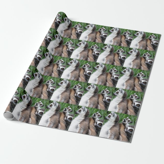 Papel De Presente Família de Lemur de Ring-tail (Desenrolado)