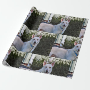 Papel De Presente Fantasma