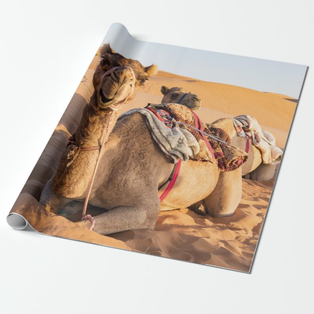 Papel De Presente Fechamento de Camel no deserto de Oman (Desenrolado)