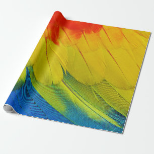 PAPEL DE PRESENTE FECHAR AS PENAS INCRÍVEIS E COLORIDAS DE A S