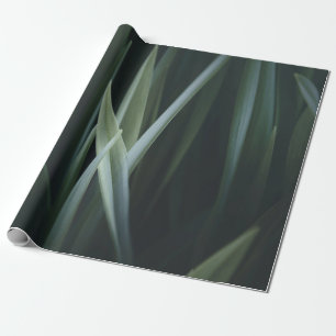 Papel De Presente Fechar foto das folhas lineares verdes