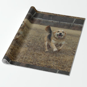 Papel De Presente Felicidade