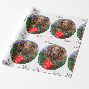 Papel De Presente Feliz Natal do Spaniel de Boykin