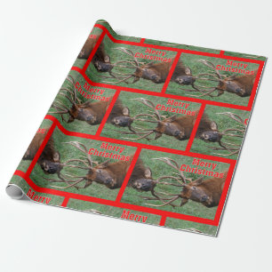 Papel De Presente Feliz Natal Sparring engraçado dos alces de Bull