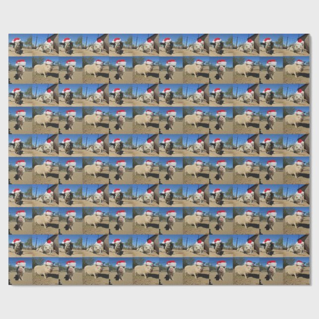 Papel De Presente Feliz Oinkmas Gift Wrap (Aberto)