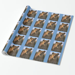 Papel De Presente Female Lioness Natal