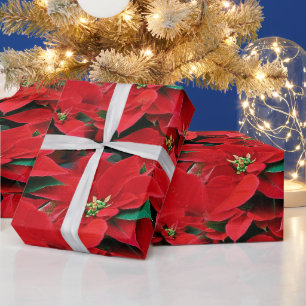 Papel De Presente Feriado de Poinsettia Vermelha
