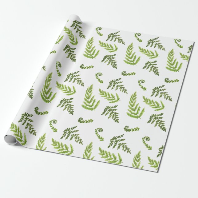Papel De Presente Ferns (Desenrolado)
