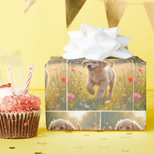 Papel De Presente Filhote de Retriever Dourado Correndo em uma Campi