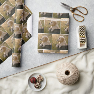 Papel De Presente Filhote de Retriever Dourado em um Balde de Metal