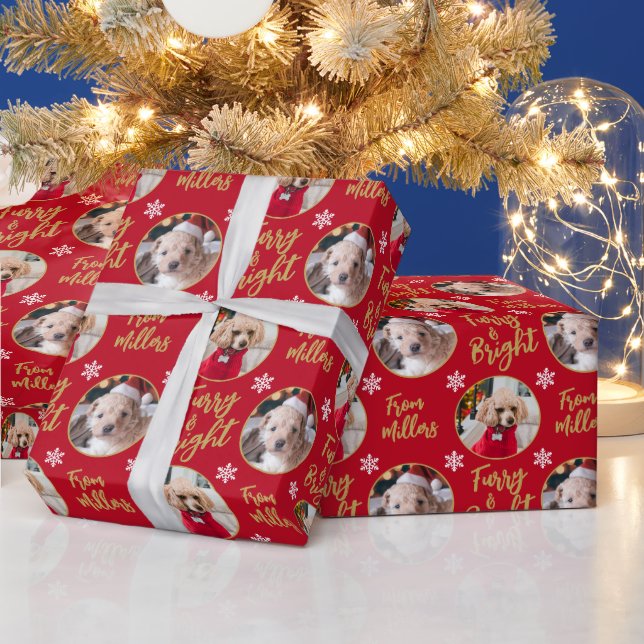 Papel De Presente Floco de neve de Natal Furry & Bright Dog (Feriados)