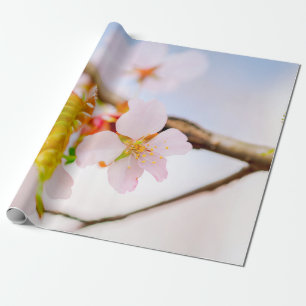 Papel De Presente Flor Charming Chic Sakura E Folhas Em Primavera