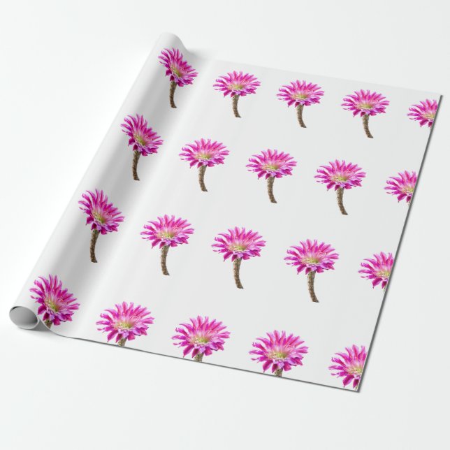 Papel De Presente Flor de cacto Pink Piazza em flor (Desenrolado)