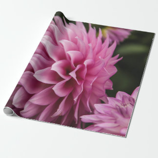 Papel De Presente flor de dália de primavera