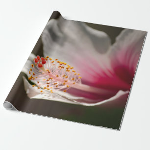 Papel De Presente Flor de Hibiscus do Havaí, cor-de-rosa tropical e