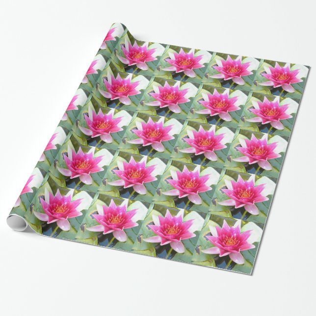 Papel De Presente Flor de Lotus do lírio de água (Desenrolado)