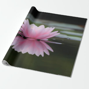 Papel De Presente Flor de Lotus, zen