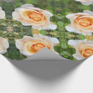 Papel De Presente Flor de Rosa Rosa de de laranja romântico
